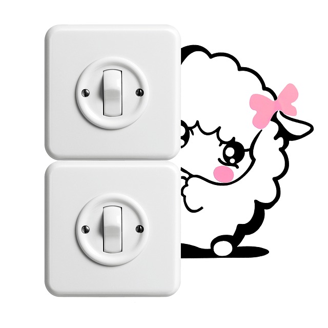 vypínače a ovečka